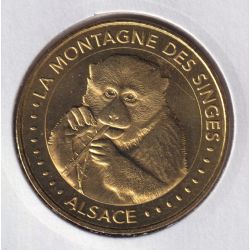 Dept67 - la montagne des singes - 2018 - singe mangeant  - Kintzheim