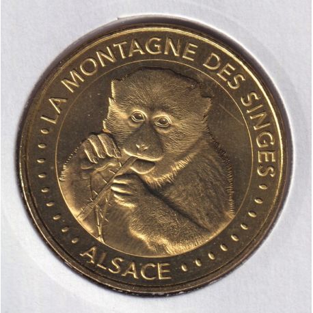 Dept67 - la montagne des singes - 2018 - singe mangeant  - Kintzheim