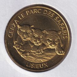 Dept14 - bébé tigres - 2019 - Le parc des safaris - Lisieux
