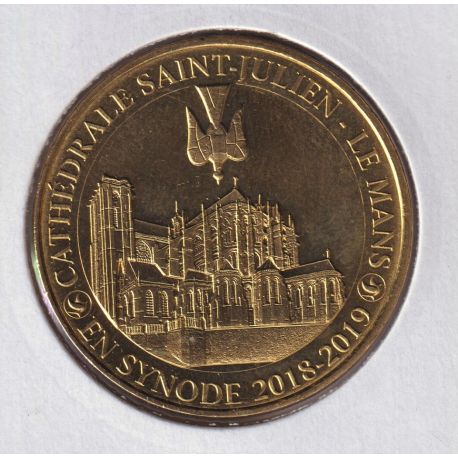 Dept72 - Cathédrale St julien - 2019 - En synode 2018-2019 - Le mans 