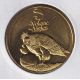 Dept67 - Volerie des aigles – Vautour - 2020 - Kintzheim