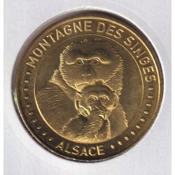 Dept67 - La montagne des singes - Mère et bébé singe 4 - 2020 - Kintzheim