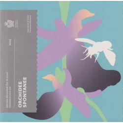 BU St Marin 2025 - 9 pièces - Les orchidées