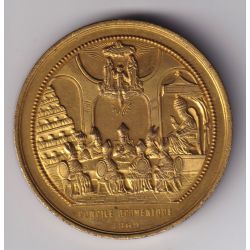 Médaille - Concile oecumenique - Pi IX - 1869 - bronze doré - 51mm