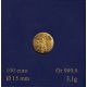 100 Euro Or - Semeuse - 2010 - Or 3,1g 0,999
