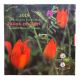 Grèce - 5 Euro 2019 - Tulipe de Goulimis