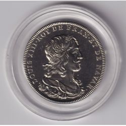 Médaille - Louis XIII - Roi de France - cupronickel