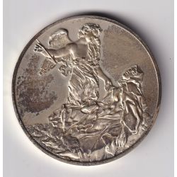 Médaille - L'extase de sainte therese - 1645-1652 - Bernin - Les 100 plus grands chefs-d'oeuvre - argent 65g 0,800 - 50,5mm - SU