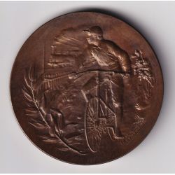 Médaille - Course cycliste Bordeaux Paris - 1892 - Journal le véloce-sport - bronze - 50mm - avec écrin - SUP