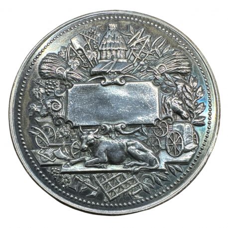 Médaille - Société des agriculteurs de France - argent 81,61g - 55mm - TTB