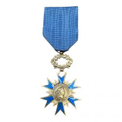 Ordre National du mérite - Chevalier - en argent 