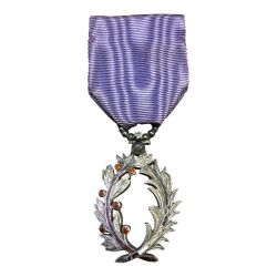 Palme Académique - Chevalier - version luxe avec brillant - ordonnance