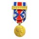 Fédération des associations de sous-officiers de réserve - avec agrafe servir - classe or - ordonnance