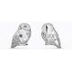 10 Euro 2021 - Chouette Edwige - Harry Potter - argent belle epreuve